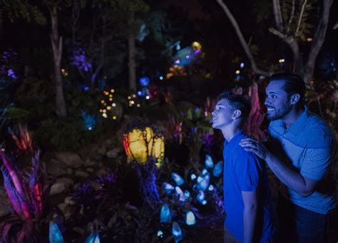 Pure Magic Hours: A Truly Enchanted Disney Experience